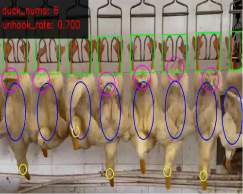 Slaughtering House Counting System